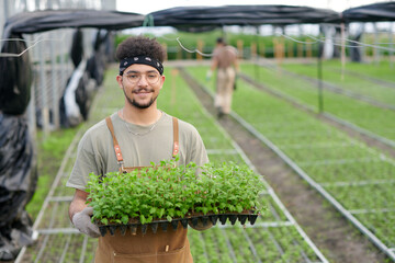 Happy young male agronomist with green seedlings looking at camera with smile while standing against interior of spacious greenhouse - obrazy, fototapety, plakaty