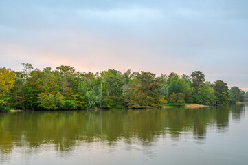 Trees on the Shoreline of Lake Fausse Pointe in the Atchafalaya River Basin at Sunrise