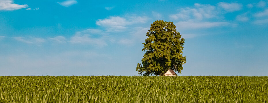Alpine summer view at Wechselberg, Burgkirchen an der Alz, Altoetting, Bavaria, Germany