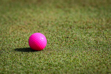 Pink Golf Ball on Putting Green at Central Florida Golf Course