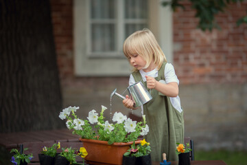 Little blonde boy gardener planting and watering plants 