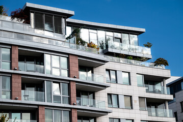 Living with plants in a city