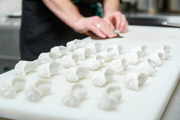 Making Japanese dumplings gyoza on fast food restaurant kitchen