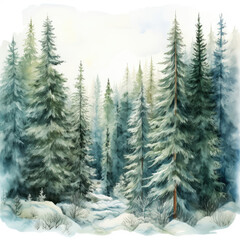 Watercolor Illustration of Winter Spruce Forest Landscape