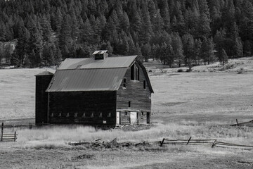 Old abandoned barn set in a pasture surrounded by trees.  Black and white.