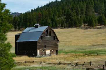 Old abandoned barn set in a gold and green pasture surrounded by trees.  Internal light pattern from damaged roof.
