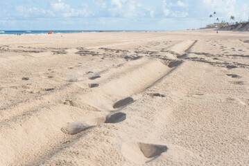 Sand on a beach on a bright sunny day.