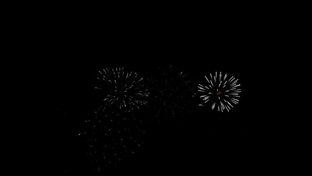 Abstract Firework on black night sky background, 4th of July independence day, New Year eve, Christmas 2024, Diwali Holiday concept. High quality 4k chromakey Cinematic Slow Motion video