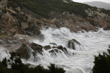 Fototapeta premium mare sugli scogli