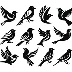 black Birds icon set on white background