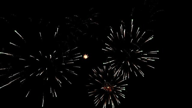 Abstract Firework on black night sky background, 4th of July independence day, New Year eve, Christmas 2024, Diwali Holiday concept. High quality 4k chromakey Cinematic Slow Motion video