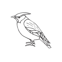 Vector hand drawn doodle sketch waxwing bird isolated on white background