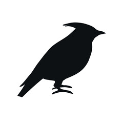 Vector hand drawn waxwing bird silhouette isolated on white background