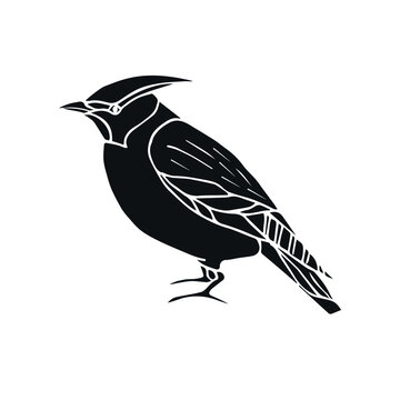 recommend clip art: Vector hand drawn doodle sketch black waxwing bird isolated on white background