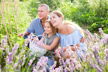 European family having fun outdoors beside lavender shrub and smiling
