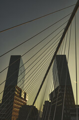Glass Towers Beyond the Bridge: Urban Skyline View from the Bridge