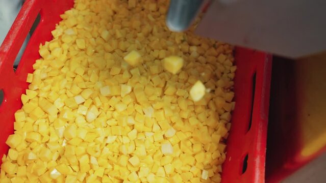 Automatic food cuber for industrial use chopping freshly peeled yellow potatoes. Food industry and initial food preparation concept. High quality 4k footage