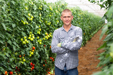European man standing inside big tomato orchard and smiling