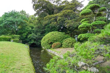 きれいに手入れされた日本庭園の情景