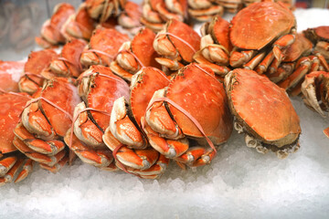 Frozen cooked crab on the ice for sale - obrazy, fototapety, plakaty