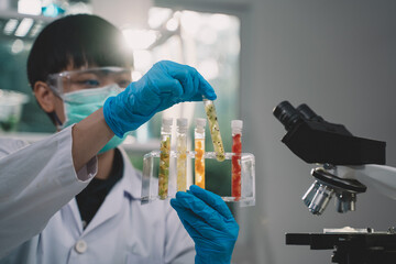 Scientists compare samples of fruit in test tubes in the lab. Is a research and development in beauty medicine and Herb medicine with herbal organic natural in the laboratory.
