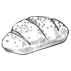 sourdough bread hand drawn