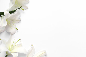 Beautiful lily flowers on white background, flat lay. Space for text