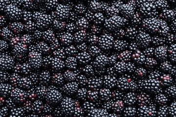Many tasty ripe blackberries as background, closeup