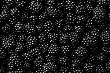 Many tasty ripe blackberries as background, closeup