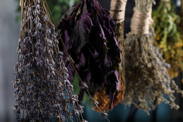 Many different herbs and flowers hanging on grey background, closeup