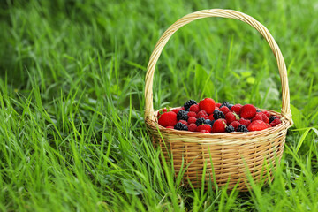 Fototapeta na wymiar Wicker basket with different fresh ripe berries in green grass outdoors, space for text