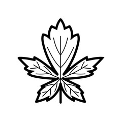 Maple Leaf