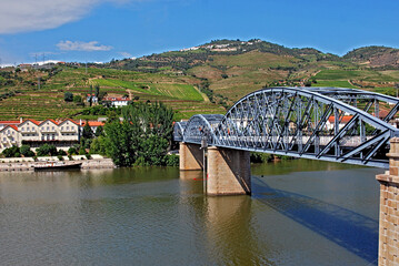 Vinicolas do Vale do Douro. Portugal.