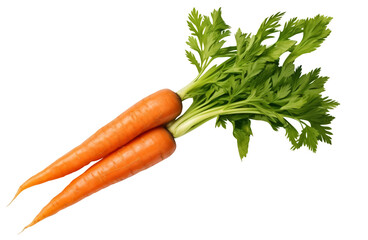 Carrot vegetable with leaves isolated on transparency background - Generative AI
