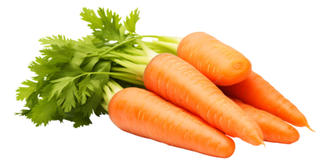 Fresh carrot and cut pieces isolated on transparency background - Generative AI