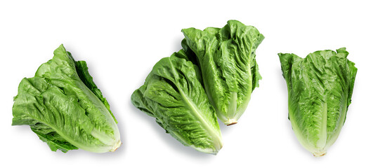 Fresh green romaine lettuce isolated on white, top view
