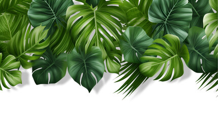 Compotition of tropical leaves on transparent background for advertising