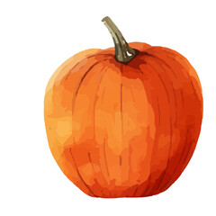Watercolor Pumpkin. Fresh and healthy vegetables. Farm vegetables. fall autumn Pumpkin element Png.