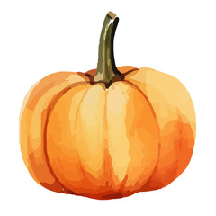Watercolor Pumpkin. Fresh and healthy vegetables. Farm vegetables. fall autumn Pumpkin element Png.