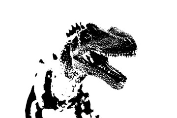 black dinosaur silhouette isolated on white background, model of giganotosaurus toy