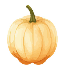 Watercolor Pumpkin. Fresh and healthy vegetables. Farm vegetables. fall autumn Pumpkin element Png.