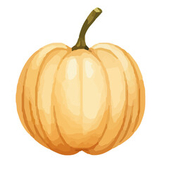 Watercolor Pumpkin. Fresh and healthy vegetables. Farm vegetables. fall autumn Pumpkin element Png.