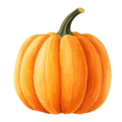 Watercolor Pumpkin. Fresh and healthy vegetables. Farm vegetables. fall autumn Pumpkin element Png.