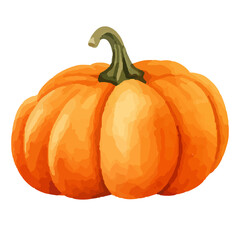 Watercolor Pumpkin. Fresh and healthy vegetables. Farm vegetables. fall autumn Pumpkin element Png.