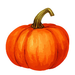Watercolor Pumpkin. Fresh and healthy vegetables. Farm vegetables. fall autumn Pumpkin element Png.