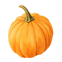 Watercolor Pumpkin. Fresh and healthy vegetables. Farm vegetables. fall autumn Pumpkin element Png.