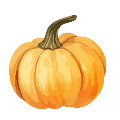 Watercolor Pumpkin. Fresh and healthy vegetables. Farm vegetables. fall autumn Pumpkin element Png.