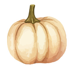 Watercolor Pumpkin. Fresh and healthy vegetables. Farm vegetables. fall autumn Pumpkin element Png.