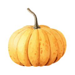 Watercolor Pumpkin. Fresh and healthy vegetables. Farm vegetables. fall autumn Pumpkin element Png.