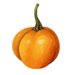 Watercolor Pumpkin. Fresh and healthy vegetables. Farm vegetables. fall autumn Pumpkin element Png.